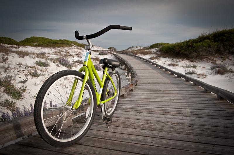 Adult Beach Cruiser Bike-image